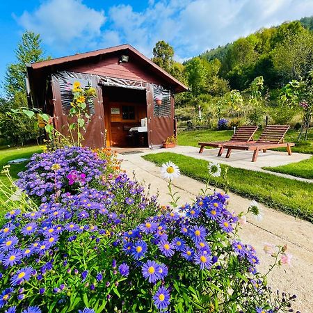 Cottage La Sierra With Jacuzzi Korenica Exteriér fotografie
