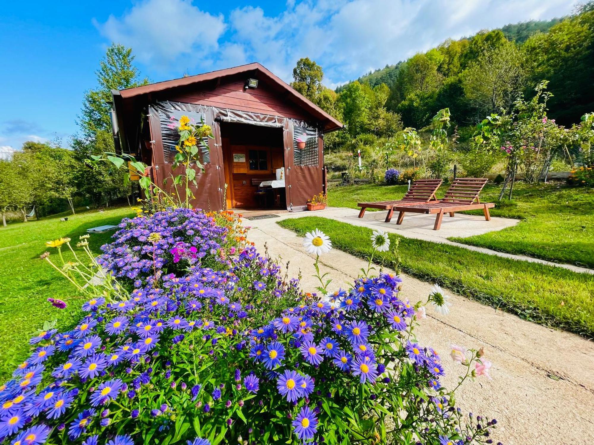 Cottage La Sierra With Jacuzzi Korenica Exteriér fotografie